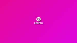 A Pink Background With The Word Ubuntu On It Wallpaper