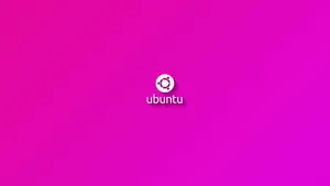 A Pink Background With The Word Ubuntu On It Wallpaper