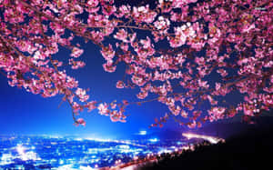 A Pink Blossom Tree With A City In The Background Wallpaper