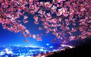 A Pink Blossom Tree With A City In The Background Wallpaper