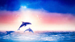 A Pink Dolphin Swimming In The Ocean Wallpaper