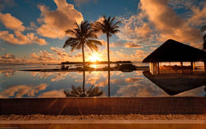 A Pool With Palm Trees And A Hut In The Background Wallpaper