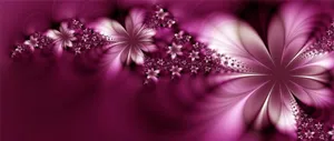 A Purple Flower With A Black Background Wallpaper