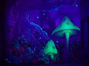 A Purple Painting With Mushrooms And Trees Wallpaper