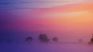 A Purple Sky With Fog And Trees Wallpaper