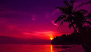 A Purple Sunset Over A Beach With Palm Trees Wallpaper