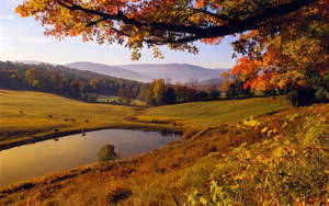 A Quiet Moment At A Fall Farm Wallpaper