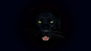 A Rare Black Leopard Delicately Stalks Through The Jungle Wallpaper