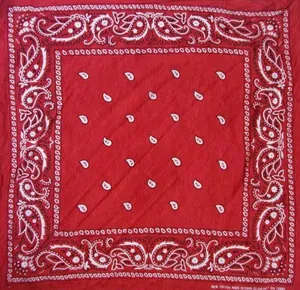 A Red Bandana With White Paisley Designs Wallpaper
