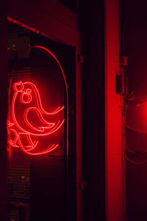 A Red Neon Sign With A Bird On It Wallpaper