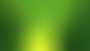 A Refreshing And Calming Plain Green Background. Wallpaper