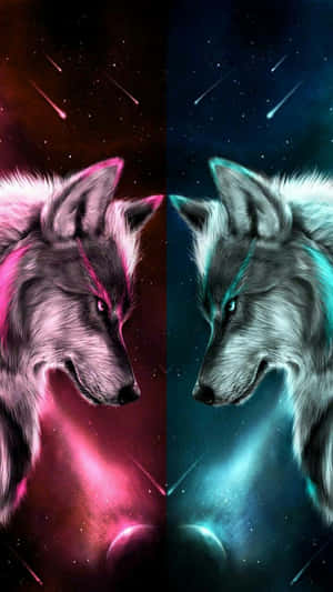 A Remarkable Duality Of A Wolf With Both Fire And Water Coexisting In Its Purest Form. Wallpaper
