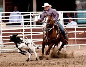 A Rider Clutching Their Cowboy Hat As They Balance On A Bucking Bronco At A Rodeo Wallpaper