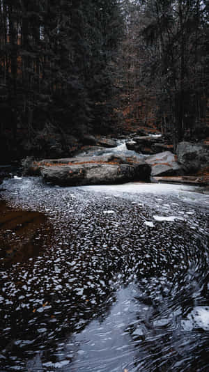 A River In The Woods Wallpaper