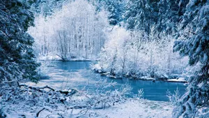 A River With Snow Covered Trees Wallpaper