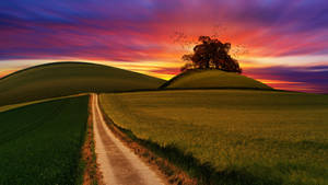 A Road In The Middle Of A Field Wallpaper