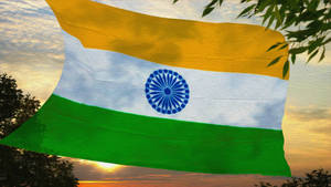 A Salute To The Vibrant Tricolor - Indian Flag Hd Wallpaper