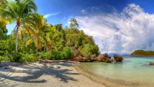 A Sandy Beach With Palm Trees Wallpaper