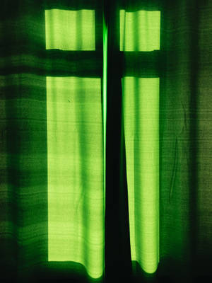 A Serene Burst Of Tranquil Light Green Wallpaper