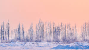 A Serene Winter Landscape Wallpaper
