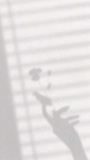 A Shadow Of A Hand On A White Wall Wallpaper