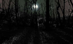 A Silent Night In The Woods Wallpaper