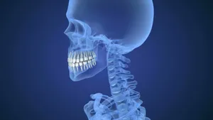 A Skeleton With Teeth In The Front Wallpaper