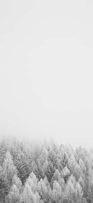 A Sleek Iphone In The Snow Wallpaper