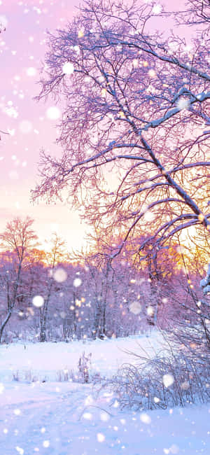 A Snowy Landscape With Trees And Snow Falling Wallpaper