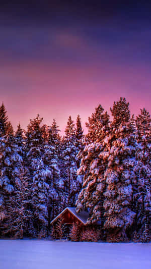 A Snowy Landscape With Trees Wallpaper