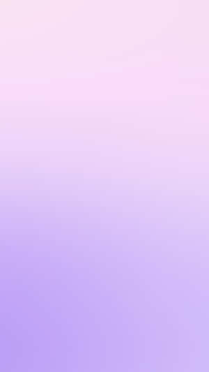 A Solid Light Purple Wallpaper Wallpaper