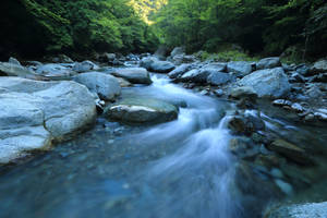 A Streaming River Water Hd Wallpaper