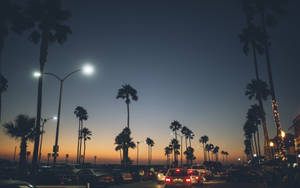 A Street With Palm Trees At Dusk Wallpaper