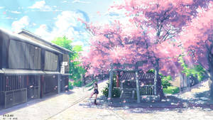 A Street With Pink Blossom Trees And A House Wallpaper