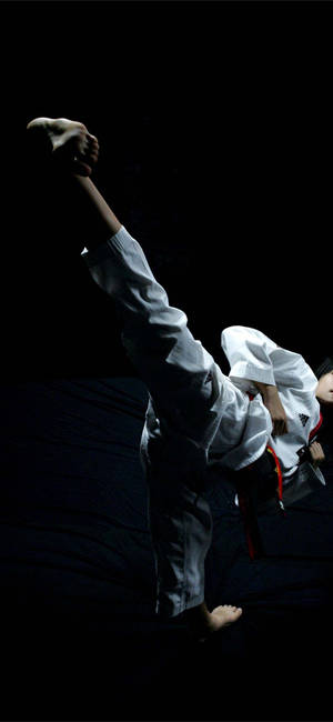 A Striking Display Of Taekwondo Power Wallpaper