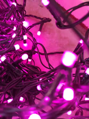 A String Of Pink Fairy Lights Blossoming In The Night Wallpaper