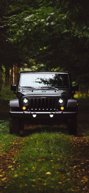 A Stunning Black Jeep Wrangler Venturing Through A Secluded Forest. Wallpaper