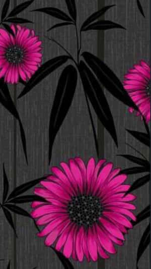 A Stunning Display Of Black And Pink Florals Wallpaper