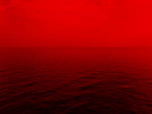 A Stunning View Of The Vibrant Red Sea Wallpaper