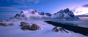 A Stunning Winter Scene Of Snow-covered Evergreen Trees And A Tranquil Lake. Wallpaper