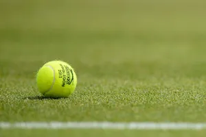 A Tennis Ball On The Grass Wallpaper