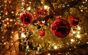 A Tree With Lights Wallpaper
