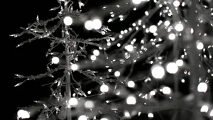 A Tree With White Lights On It Wallpaper