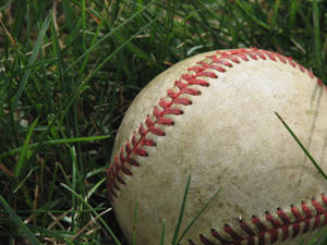A Used, Dirty Baseball Lays On The Grass Wallpaper