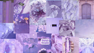 A Vibrant And Colorful Collage Featuring The Beauty Of Purple Wallpaper
