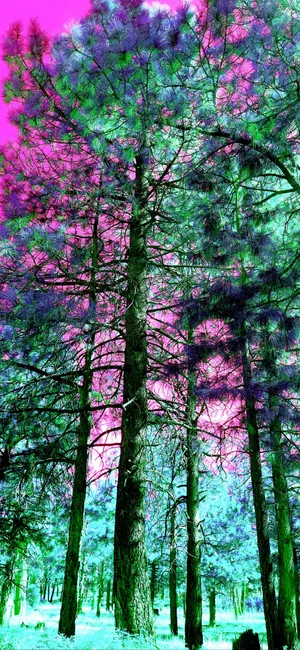 A Vibrant Beach Scene Wallpaper