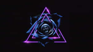 A Vibrant, Beautiful Pink Rose Wallpaper