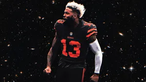 A Vibrant Bird Perched On A Branch In A Lush Green Forest Wallpaper