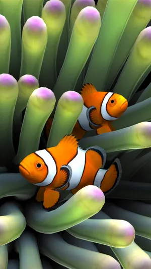 A Vibrant Clown Fish Swimming Amidst An Aquarium Of Vibrant Coral Wallpaper