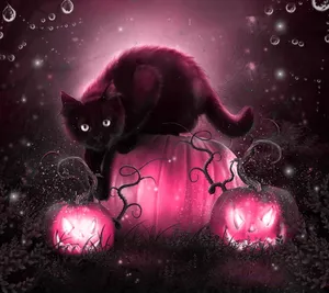 A Vibrant Pink Pumpkin Illuminated In The Fall Sunlight Wallpaper